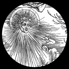 Wiesel (PREVIEW)(Furthur Electronix 2)