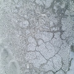 frozen