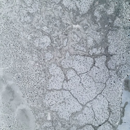 frozen