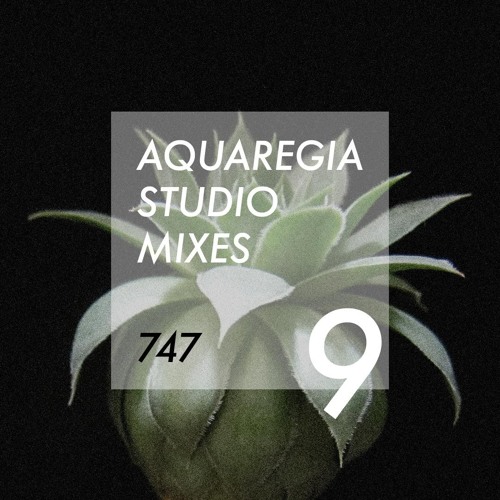 Aquaregia Studio Mix No. 9: 747 (100% Vinyl Mix)