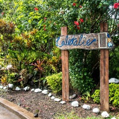 Lo'u Sei Mai Samoa