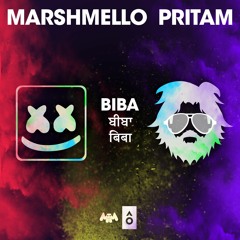 Marshmello x Pritam - BIBA feat. Shirley Setia