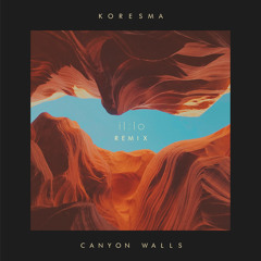 Canyon Walls (il:lo Remix)