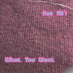 What You Want (prod. Callan)