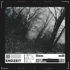 Synthethik - Invasion (Champas Remix) PreView