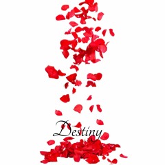 Destiny (Prod. BlackMayo)