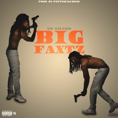 YB Shard - BIG FAXTZ