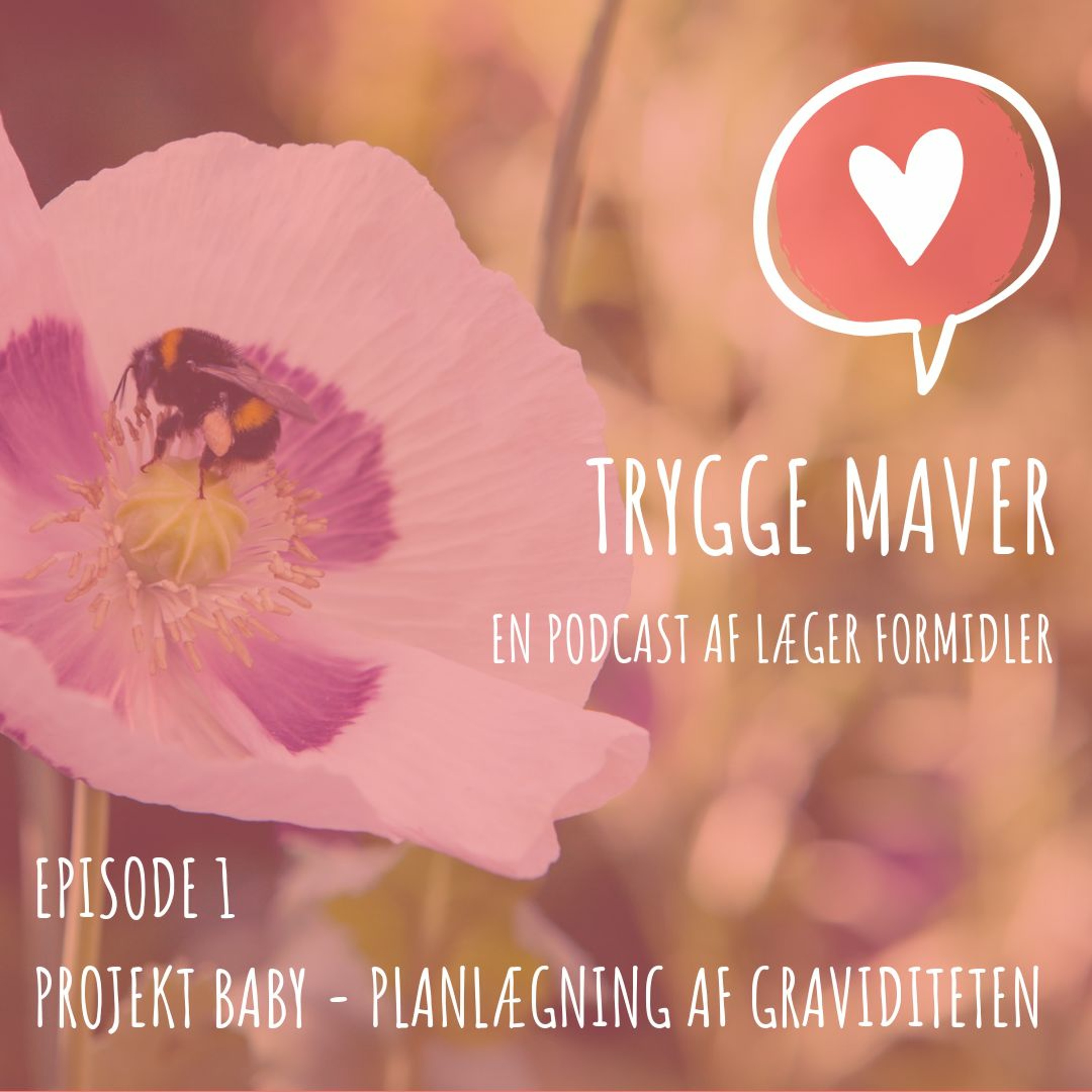 Trygge Maver og Trygge Forældre