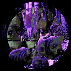 DE95