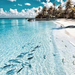 Lie Under You - [DJ ANT1 Reggae Remix] 2019