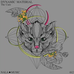 Dynamic Material - The Cure (Original Mix)