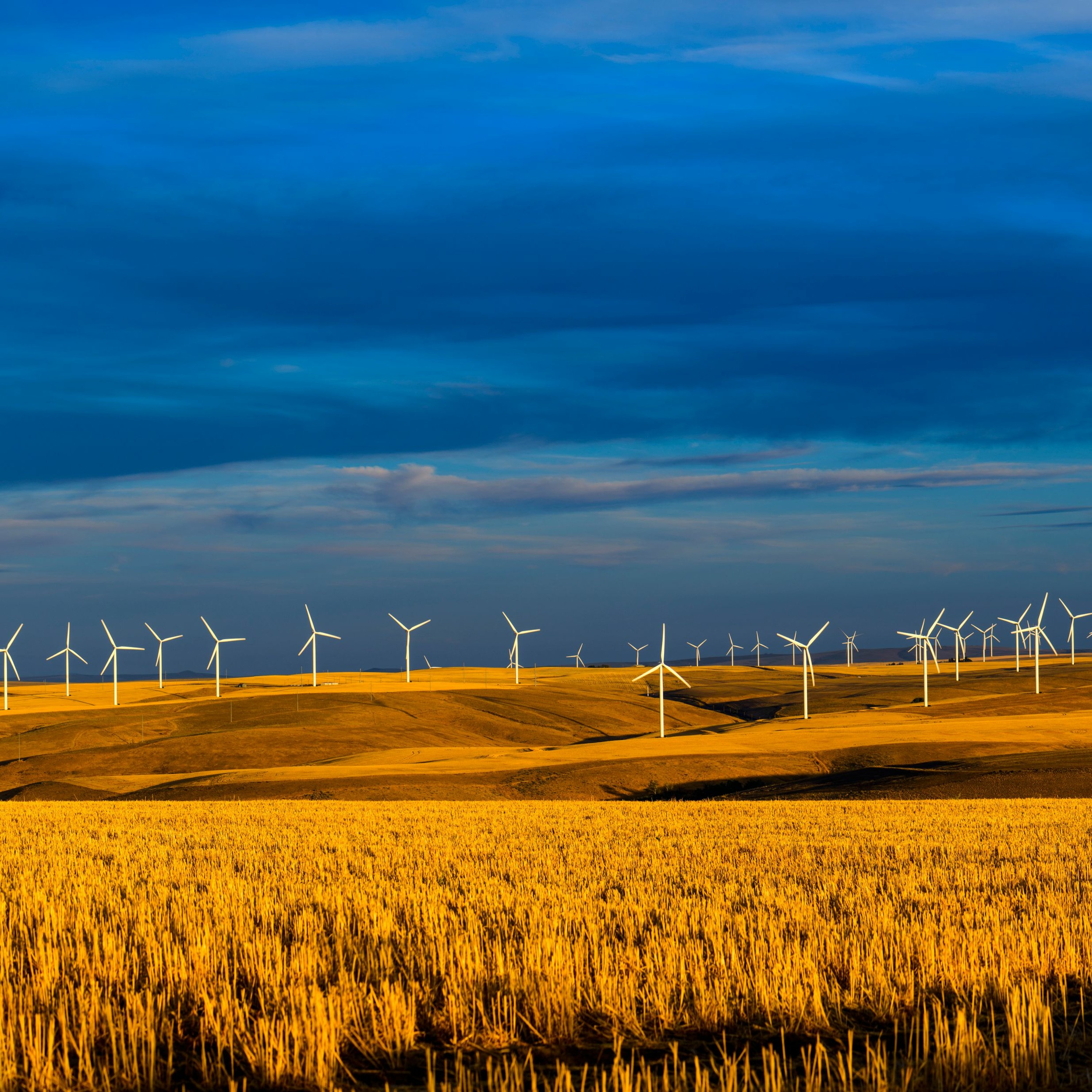 Energy & energy policy episode artwork