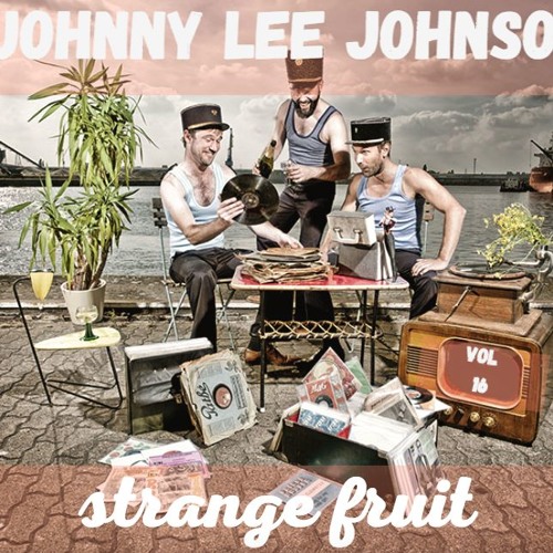 Johnny Lee Johnson Vol 16 Strange Fruit