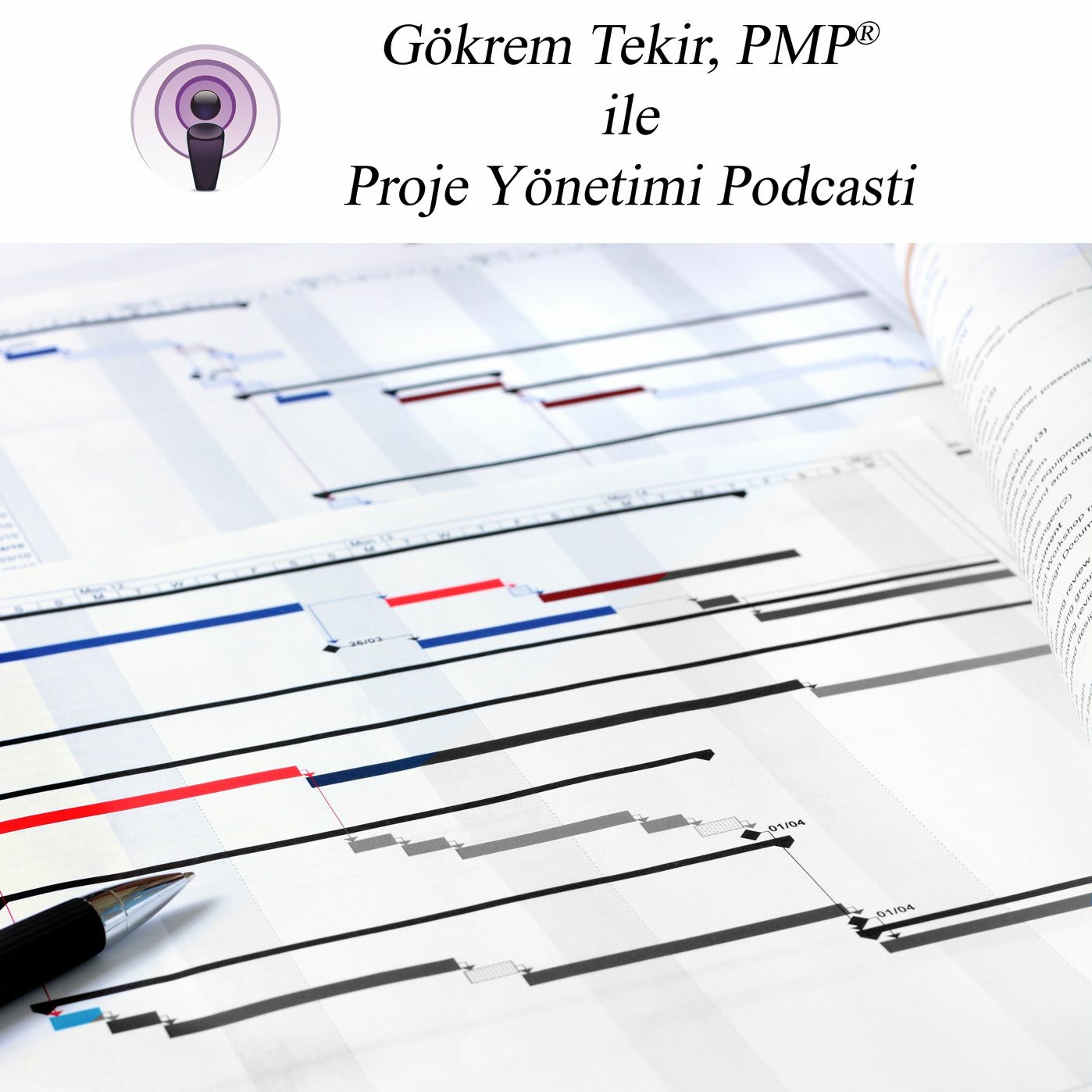 Proje Yönetimi