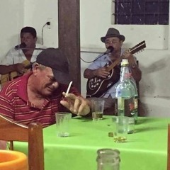 o. children - dead disco dancer