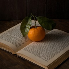 Excerpt from 'The Truth, The Post-Truth, And Nothing Of The Truth'