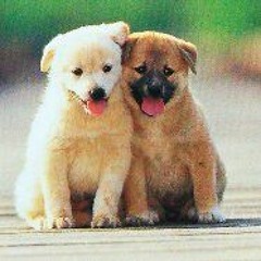 未来予想図2＆1 アカペラバージョン