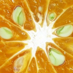 Excerpt from 'Fructus ex Semine' for double SATB choirs