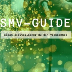 #11: Gode råd til danske SMV'er: Sådan digitaliserer du din virksomhed