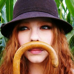 Bird on a wire (cover)