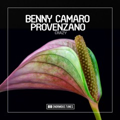Benny Camaro & Provenzano - Crazy