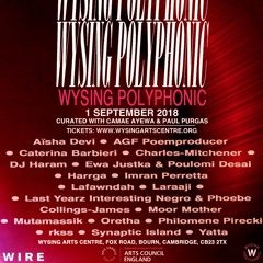 live at Wysing Polyphonic Festival 2018 - excerpt(1)