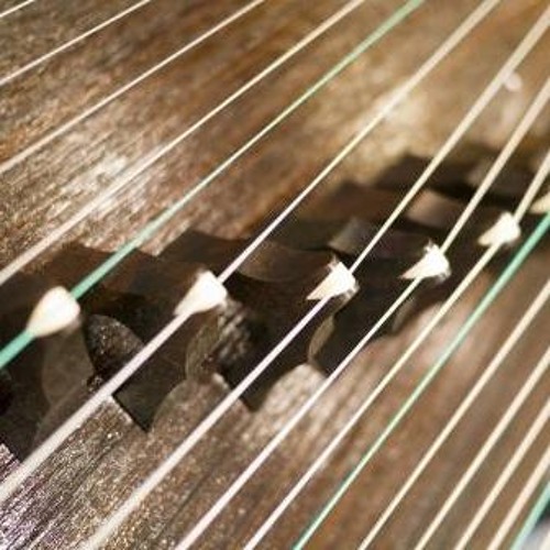 Zheng Tsung (2018) for prepared 21-string steel string Zheng
