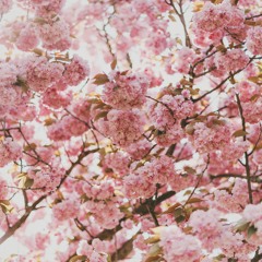 My Best Playlist!!