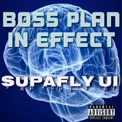 Boss Plan In Effect