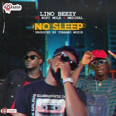 No Sleep ft Kofi Mole & Medikal