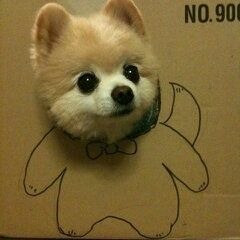 Tonight I celebrate my love for you アカペラ