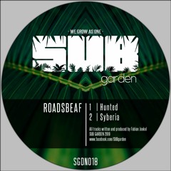 Roadsbeaf - Hunted / Syberia (SGDN018) - OUT NOW on BANDCAMP!