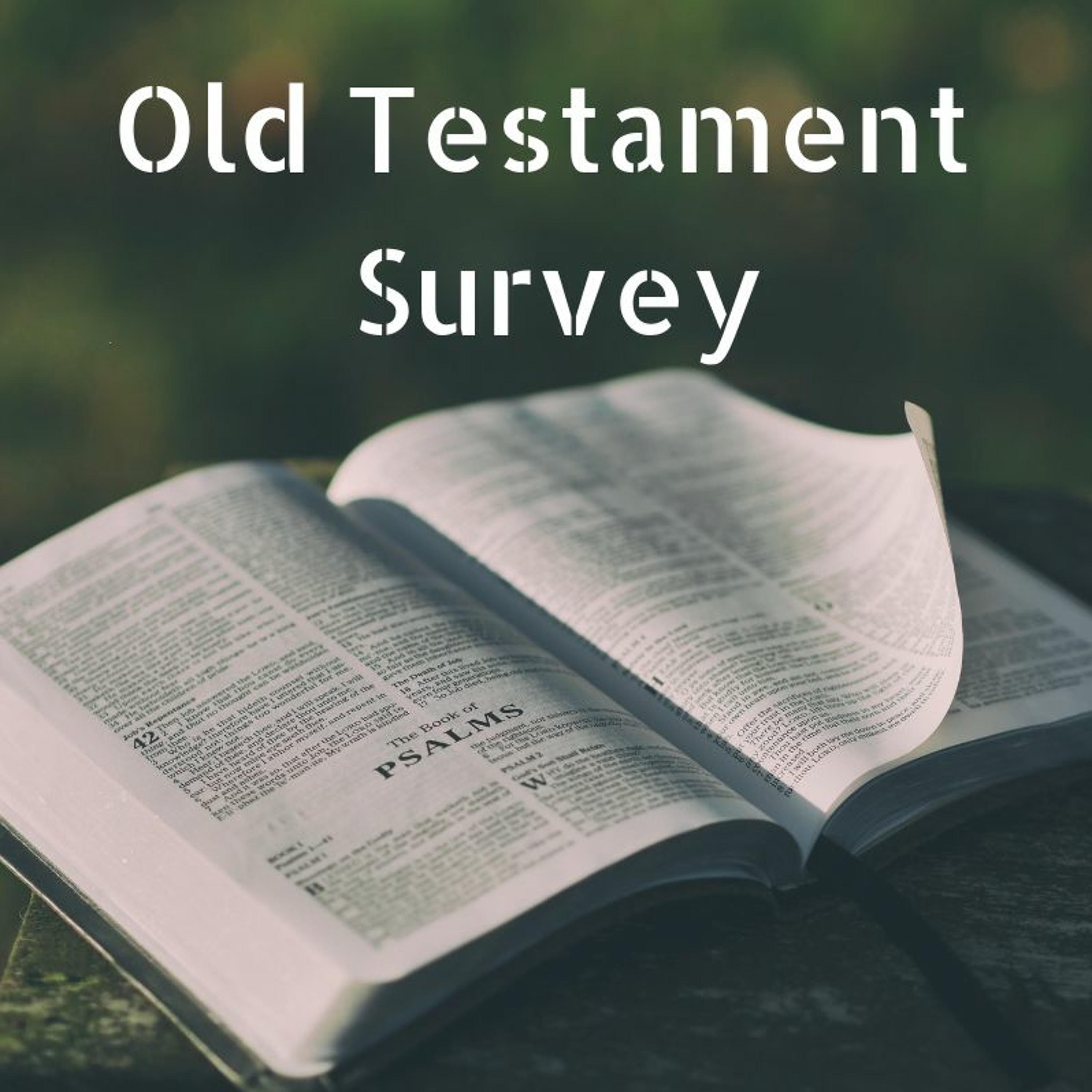 OT Survey 50—Proverbs (pt. 2) episode artwork