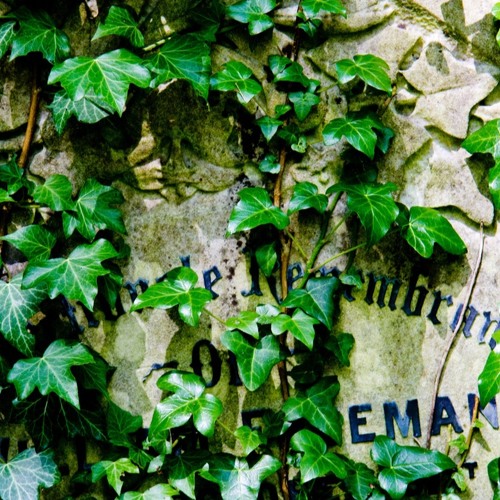 Vines (Beat by Emancipator)