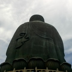 Buddha says / Buddha's ass