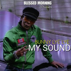 BUNNY LYE LYE - MY SOUND PT 2 (mix)