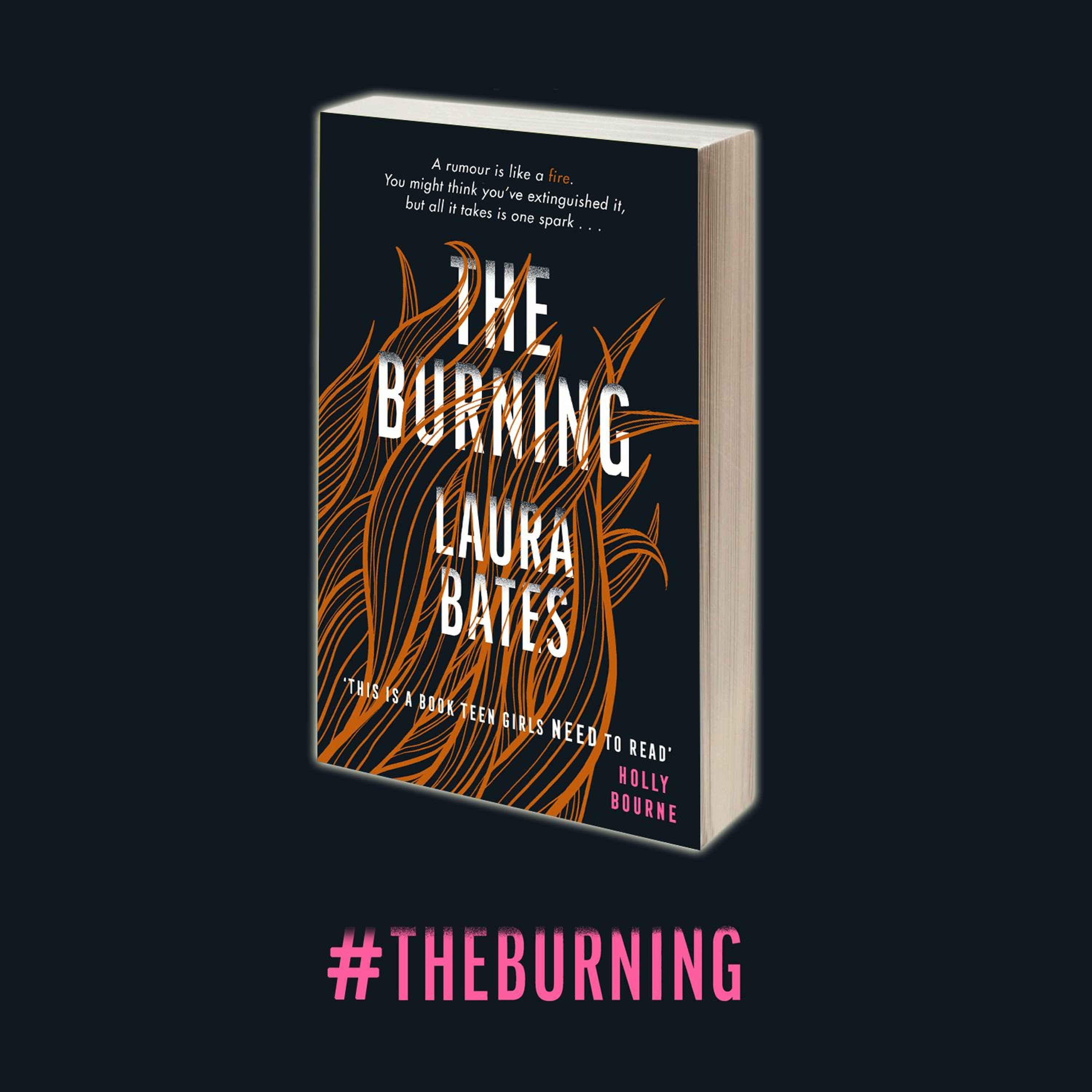 THE BURNING Audiobook excerpt - Chapter 20 episode artwork