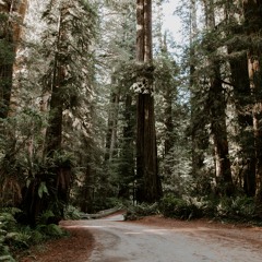 Human - Dodie Cover By Ollie Morris & BEA