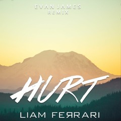 Liam Ferrari - Hurt (Evan James Remix)