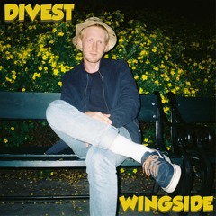 Wingside