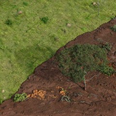 Tom Jobim (Gladir Cabral)