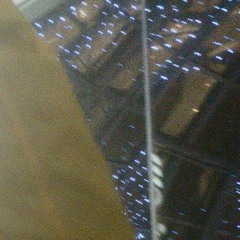 [they have soft feathers/ they won't hurt us]