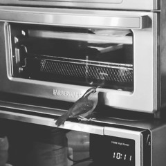 my evil plan to save the world.wav