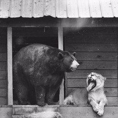 Matti Stävenborg & Yowski Bear - Live B2B Mix