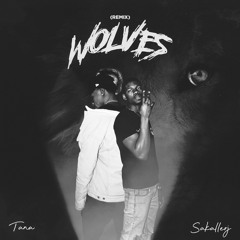 WOLVES (feat. SakellerJ)