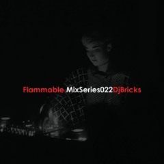 Flammable Mix Series 022 : Dj Bricks