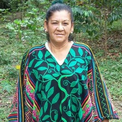 Reyna Icaro
