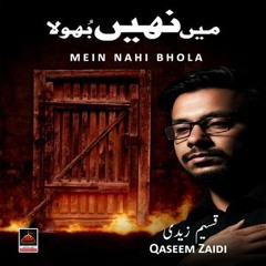 Qaseem Zaidi - Mein Nahi Bhola #ayamefatimiya - 2019