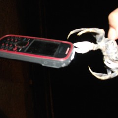 Nobody Ever Wants To Hear by Ryan G