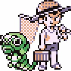 The Bug Collector
